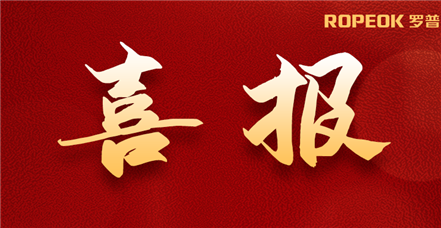 喜报丨亚游集团ag8“城市智芯”入选2025全国企业数字中国建设优秀应用案例